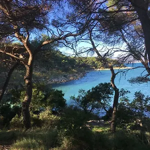 Pensión Single In The Heart Of, Split